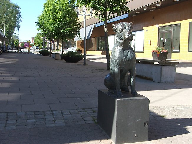 staty på en hund på ett torg