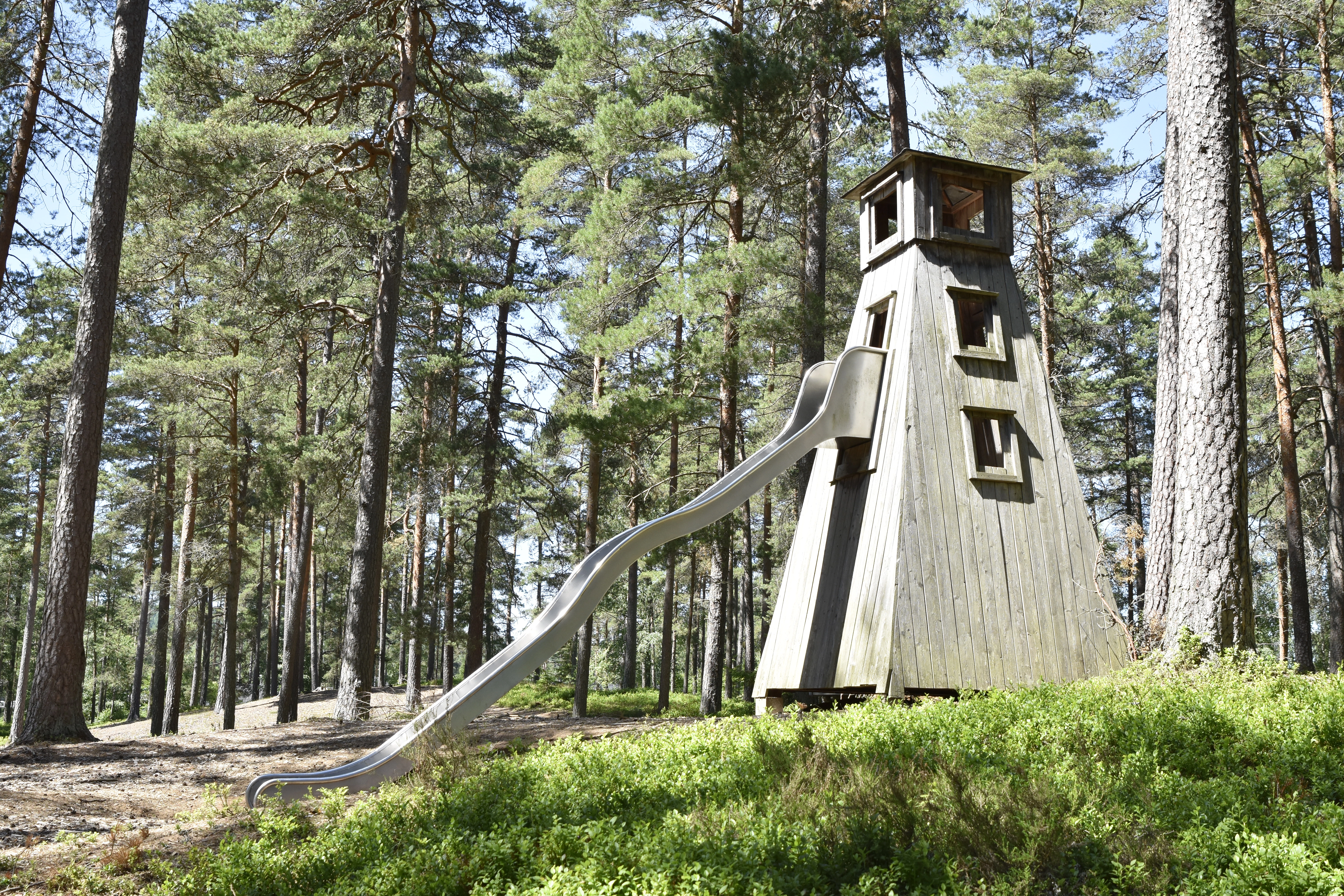 En lekplats med en rutschbana och gungor i en skogsomgivning. Marken är täckt med barkspån.