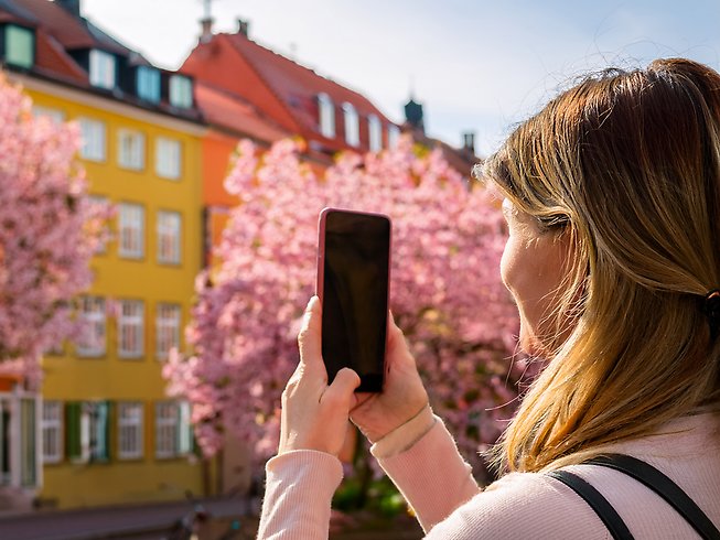 kvinna som fotar körsbärsträd