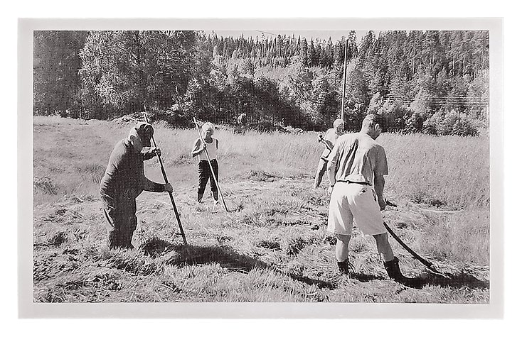 ett äldre foto av personer som krattar gräs på en äng