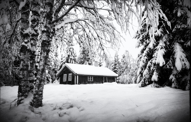 ett svartvitt foto på en stuga i skogen