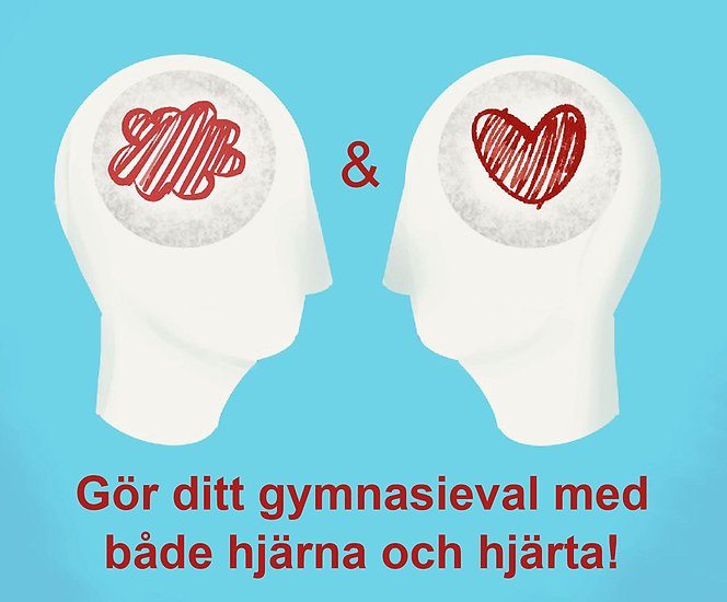 Tecknad bild av två huvuden i profil. I det ena huvudet finns ett moln och i de andra ett hjärta. Under huvudena står texten "Gör ditt gymnasieval med både hjärna och hjärta."