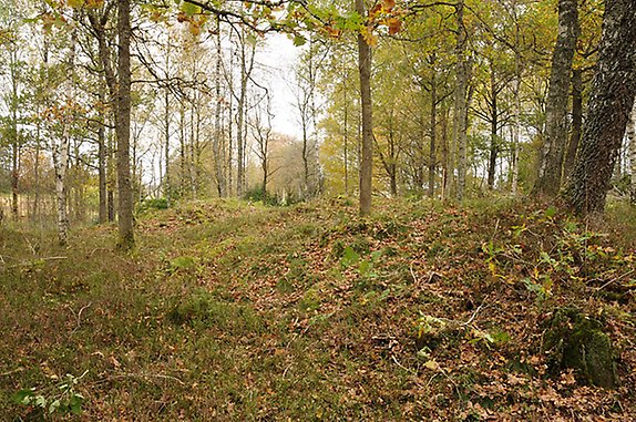 De tre gravhögar som upptäcktes vid utredningen 2011, var svåra att se i terrängen. Bland träd och sly hade de fört en anonym tillvaro i mer än tusen år. 