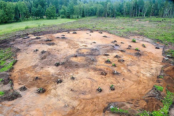 Här syns gravfältet när gravarna undersökts. Tre tydliga ringar syns mitt på fältet, rester efter de tre intakta högarna. Lite diffusare rester av rännor från de överodlade gravhögarna syns också. 