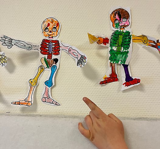 Foto på ett målat skelett.