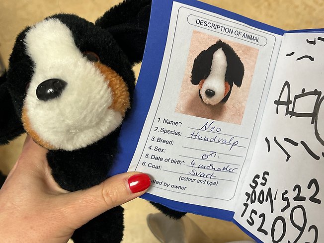 Foto på en gosedjurshund.